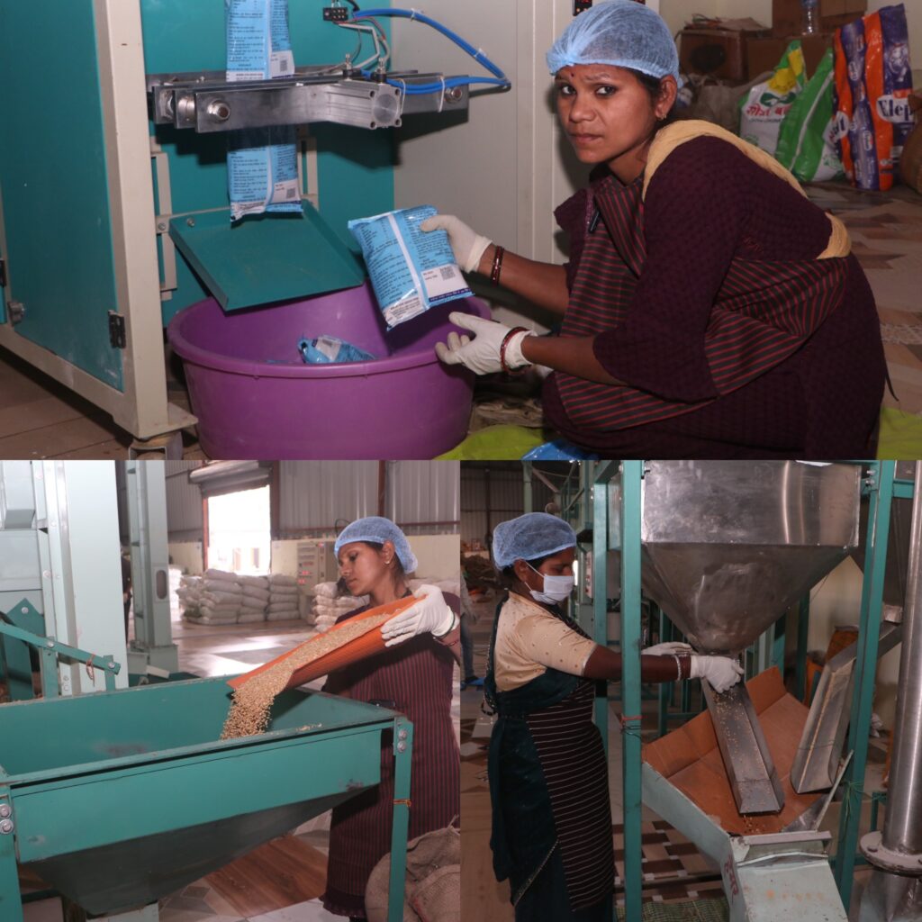 सशक्त मानसिकता से आत्मनिर्भरता की ओर- पोषण निर्माण में अहम भूमिका निभा रही हैं सूरजपुर की महिलाएं